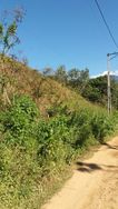 Terreno em Guapimirim