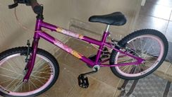 Bicicleta Infantil Menina