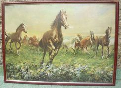 Cavalos Quadro com Moldura 72 Cm X 52 Cm Cavalaria Manada Horses / Mbq