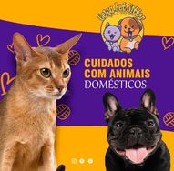 Ceiça Pet Sitter Cuidadora de Animais em Dourados MS