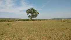 Vendo Fazenda 2400 Hectares