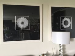 Quadros para Sala e Mandala