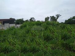 Terreno Escriturado à Venda em Itanhaém