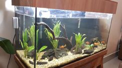 Aquario 200 Litros