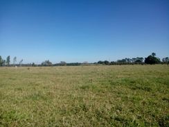 Ranchos -lotes-terrenos em Promissão-s.p*condições Especiais !!!