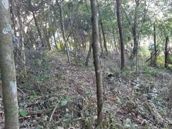 Terreno Condomínio do Rosário Cajamar