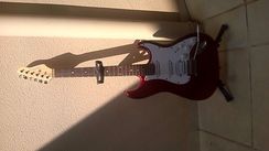 Fotos Similares: Guitarra Giannini G 101 