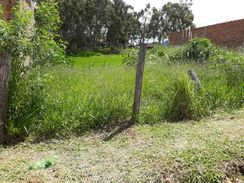 Terreno em Quintana Vila Campante