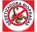 Dedetizadora no Papicu Biopragas