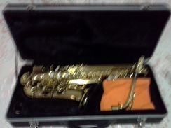 Lindo Sax Selmer Semi Novo