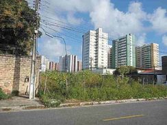 Lote no Jardim Europa