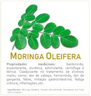 Chá Moringa Oleifera