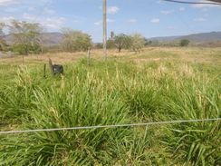 Terra à Venda