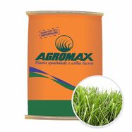 Sementes de Capim Paspalum Atractum Pojuca 10 Kg