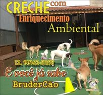 Creche Canina em Sjcampos e Jacareí