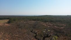 Vendo Fazenda de 212 Hectares