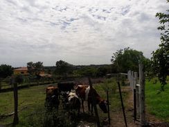 Terreno em Porangaba SP Km 165