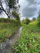 Chácara à Venda, R$ 80 Mil, 1500 M2, Serra Azul, Mateus Leme, MG