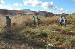 Fotos Similares: Remoção de Galhos 