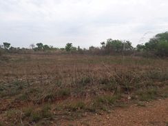 3 Lotes Juntos Jd Guanabara Prox Florais da Matta