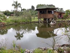 Sítio em Rancho Queimado R$220.000