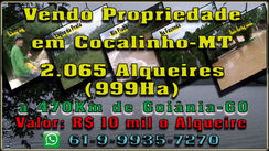 Vendo Propriedade em Cocalinho MT com 2 Mil Alqueires (+/ Mil Hectares) à 470 Km de Goiâni