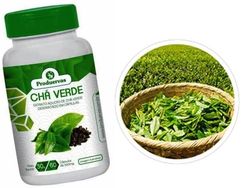 Chá Verde Verdadeiro 180 Capsulas Concentrado 500 MG