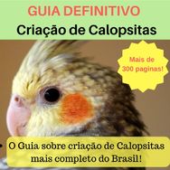 Guia Definitivo Criação de Calopsitas