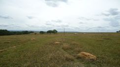 Fazenda 1050 Hectares