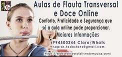 Aulas de Flauta Transversal e Flauta Doce na Zona Norte ou Online