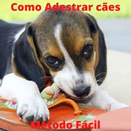 Como Adestrar Cães - Método Fácil