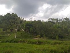 Excelente Fazenda em Caçapava SP