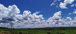 Vendo Fazenda 1546 Hectares