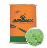 Sementes de Capim Panicum Maximum Massai 10 Kg