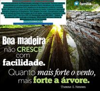 Consultoria,assessoria, Contábil/fiscal para Microempresas e Pequenas