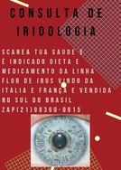 Consulta de Iridologia em Niterói RJ