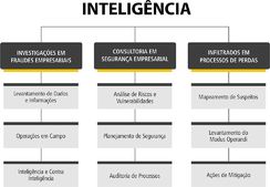 Agência Detetive Particular Uberlândia Félix