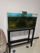 Vendo Aquário Completo 150 Lts