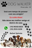 Dog Walker Piracicaba