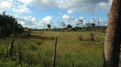 Vendo Minha Fazenda São Benedito