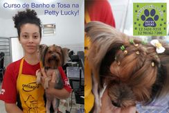 Curso Banho e Tosa