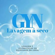 Gyn Lavagem à Seco