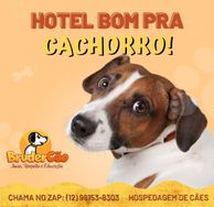 ´hospede Seu Cão em Sjcampos e Jacareí