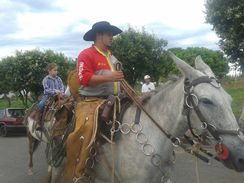 Vendor ou Troco em Gado, Burro Manso