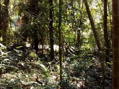 Terreno em Ubatuba