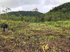 Terreno de 1000 m2 com Documento à Venda em Itanhaém