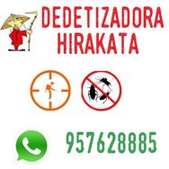 Dedetizadora e Desentupidora Hirakata