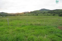 Gongogi - Fazenda Pecuária de 655 Hectares Toda Formada