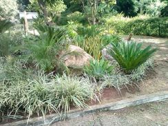 Jardineiro Profissional com 25anos de Experiencia