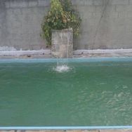 Sítio com Piscina